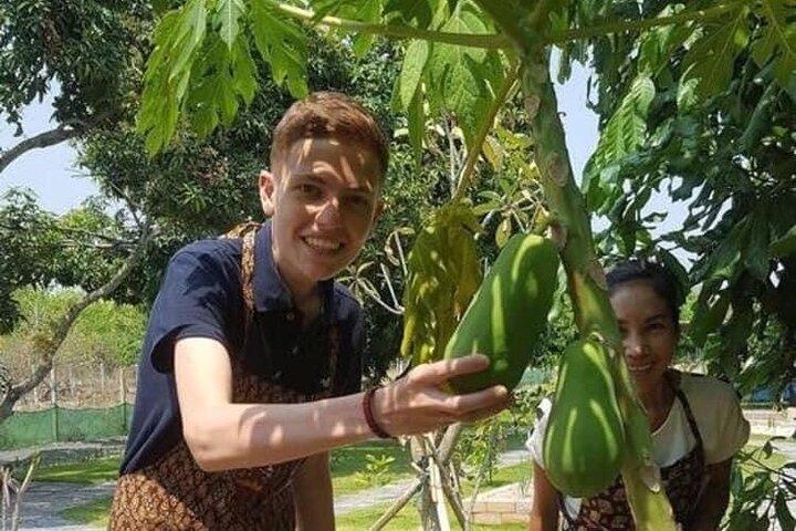Kochkurs am Vormittag Chiang Mai Besuchen Sie den Bio-Garten und -Markt