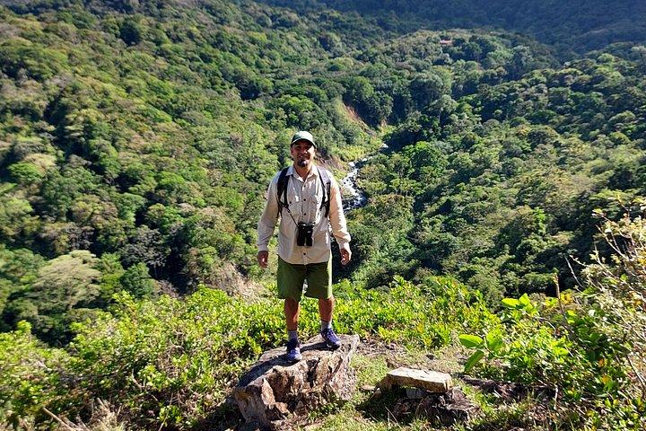 Passeio de observação de aves em Monteverde
