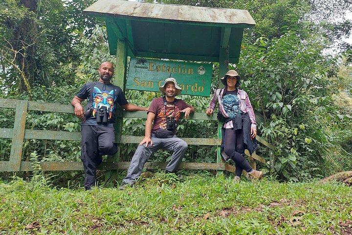 Passeio de observação de aves em Monteverde