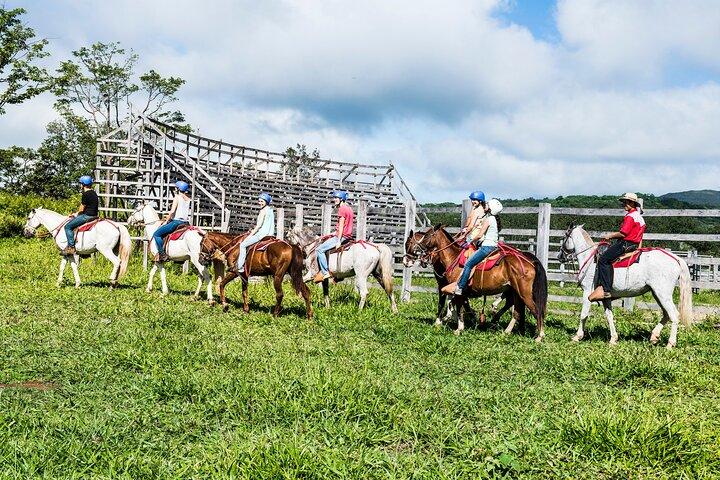 5-in-1 リンコン デ ラ ビエハ国立公園アドベンチャー デイ ツアー