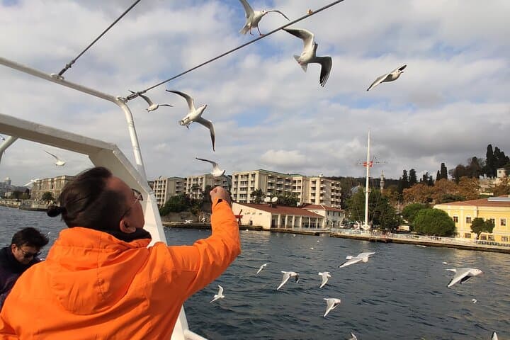 2-Hour Bosphorus Cruise in Istanbul with Guide