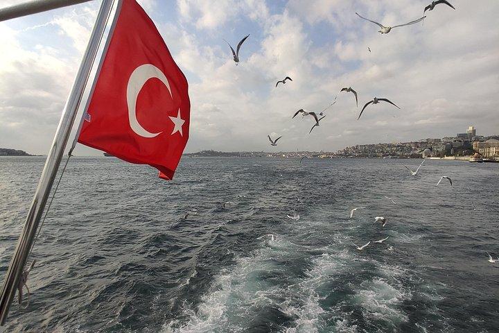2-Hour Bosphorus Cruise in Istanbul with Guide
