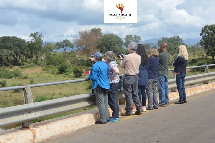 Exhilarating 7 Day Kruger Safari Adventure - South to North