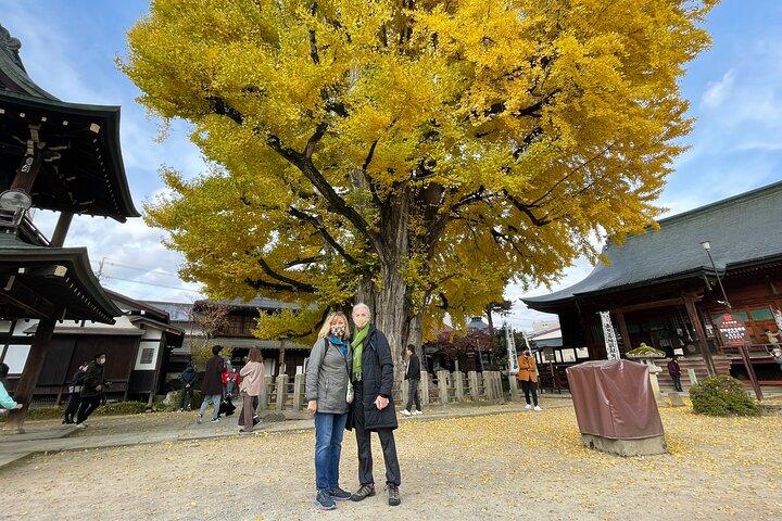 Takayama Local Food & Sake Culture Tour, Guida autorizzata