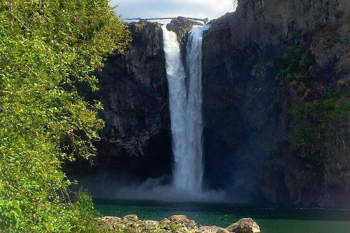 De Seattle: Visite privée de Snoqualmie Falls