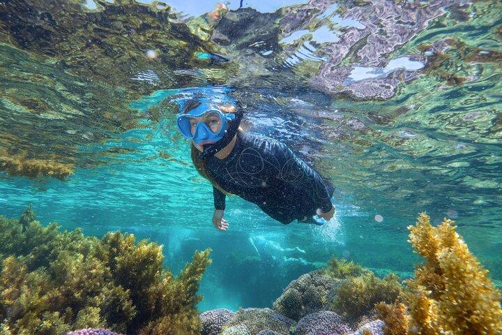 Experiencia guiada en barco de esnórquel en la isla de Rottnest