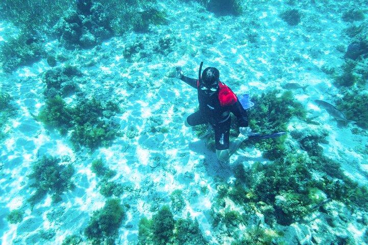 Experiencia guiada en barco de esnórquel en la isla de Rottnest