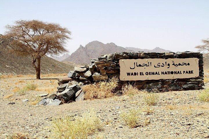 Safaridagstur till nationalparken Wadi El Gamal från Marsa Alam