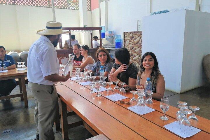 Ica: Rota do Vinho Pisco e Peruano