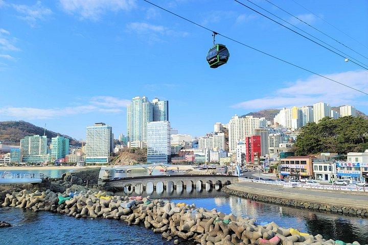 蒲川文化村、チャガルチ市場おはなしツアー