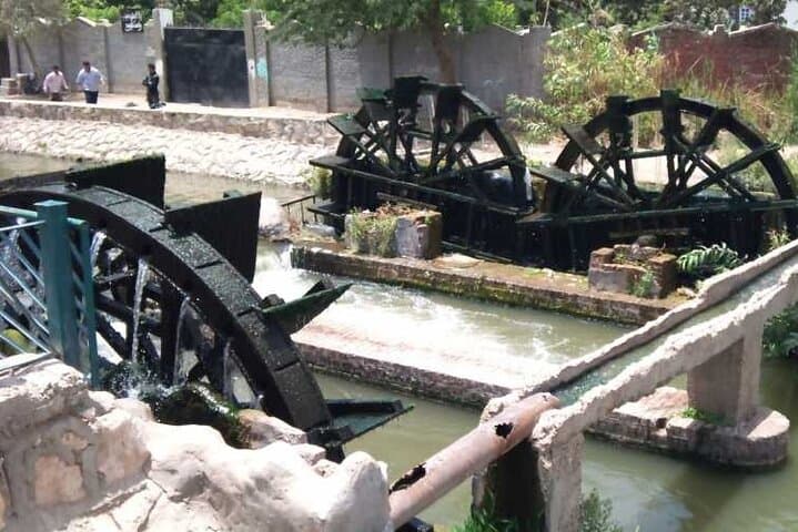 2 Days Camping Trip PRIVATE in Fayoum Oasis from Cairo