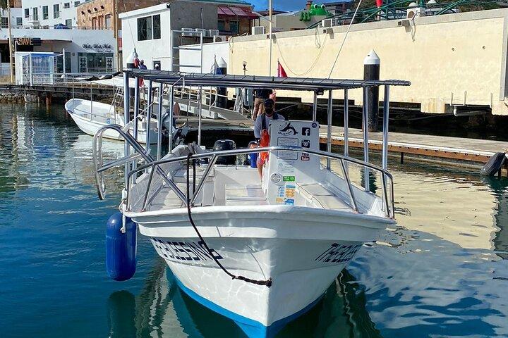 カボ・サンルーカス小集団ホエールウォッチングツアー：クジラの話を聞く