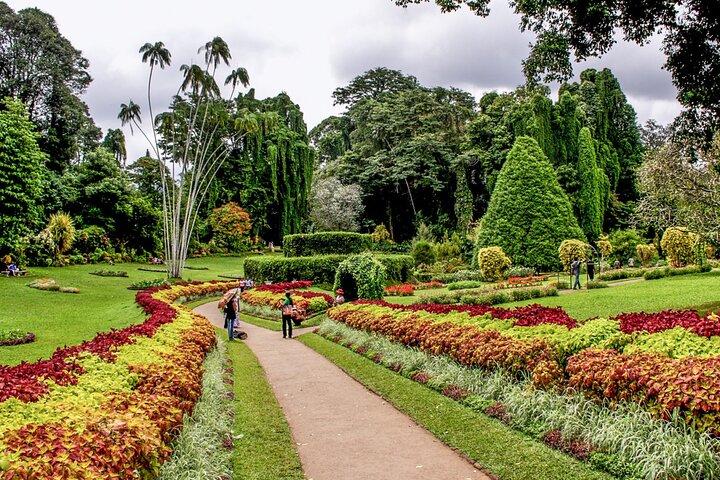 Sigiriya To Kandy Private Transport With Sightseeing