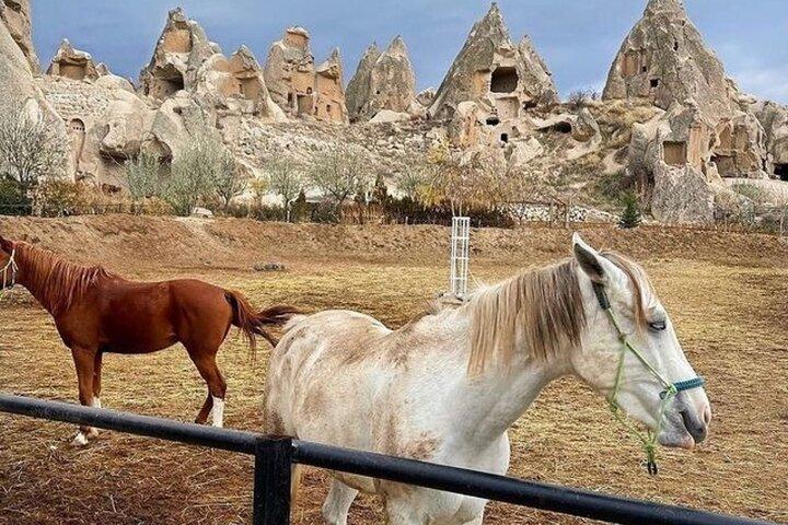 カッパドキア乗馬ツアー（送迎付き）