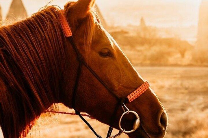 カッパドキア乗馬ツアー（送迎付き）