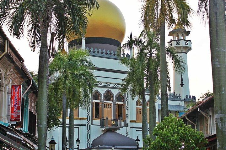 Tour privato di scoperta culturale della storica Singapore