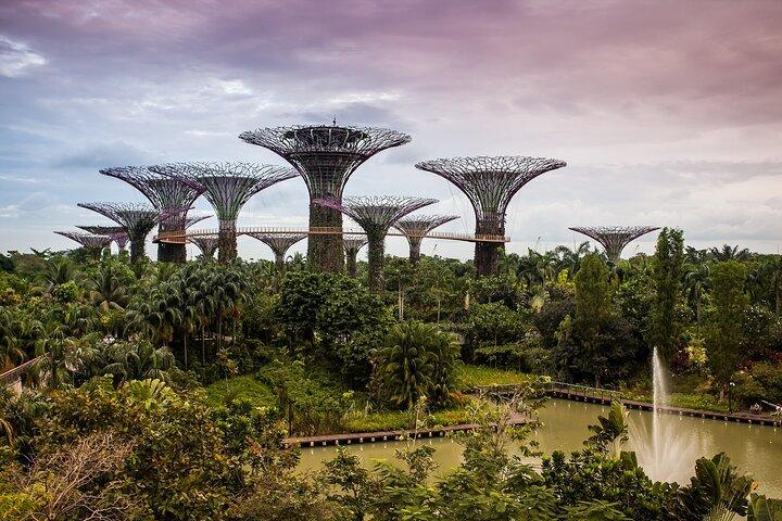 Private kulturelle Entdeckungstour durch das historische Singapur
