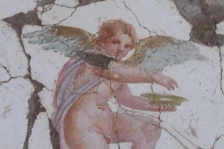 考古学者とスタビアのローマ時代の別荘を訪問