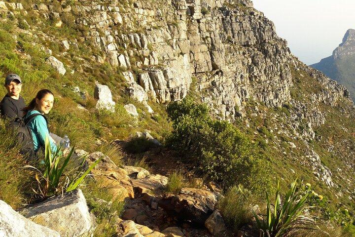 Cape Town: Indien Venster Halvdagsvandring på Taffelbjerget