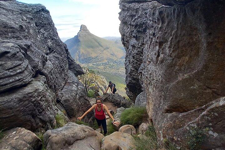 Cape Town: Indien Venster Halvdagsvandring på Taffelbjerget