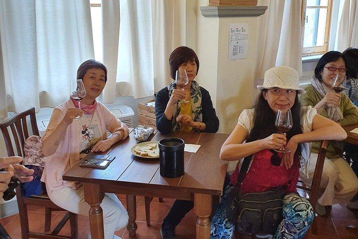 パンツァーノ・イン・キャンティの味覚の勝利、ワイナリーツアー、そしてオーガニックワイン