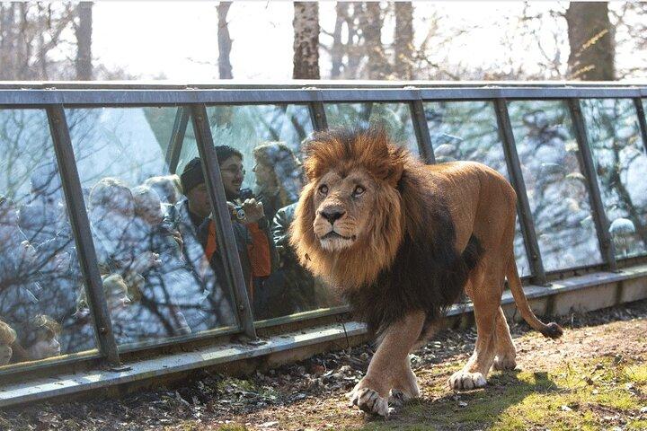 Excursion Privée au ZooSafari de Thoiry depuis Paris
