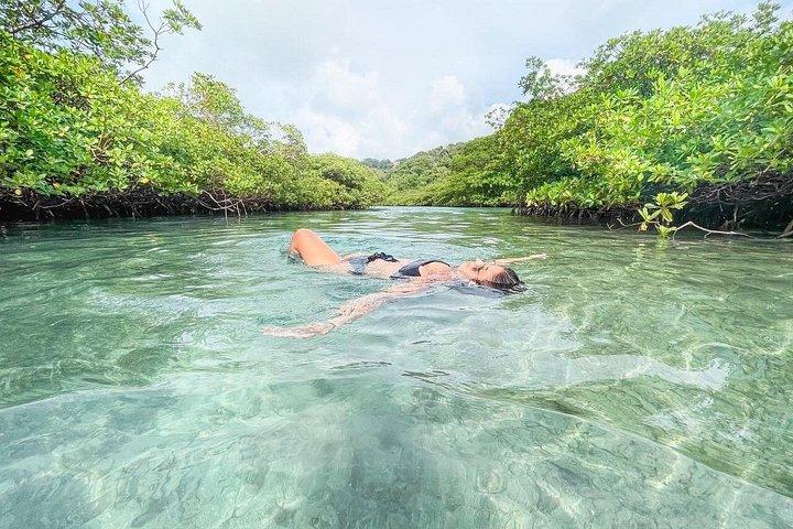 カリブ・カタマラン終日クルーズ：ビーチ、シュノーケリング＆ランチ