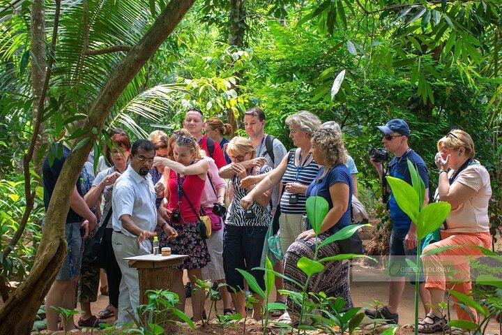 Kandy Heritage & Kingdom Discovery-All Inclusive Excursion privée d'une journée