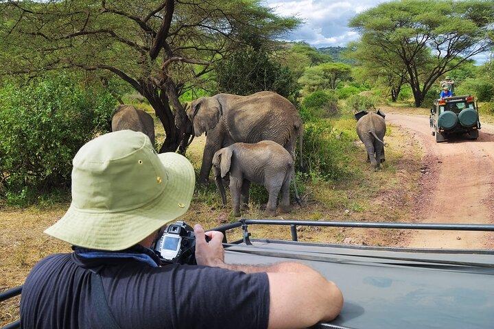 Serengeti y Ngorongoro vuelan en safari