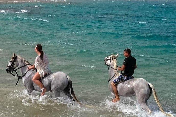 ハルガダ：海と砂漠の乗馬、星空観察、ディナー、ショー