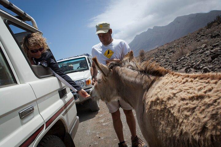 Safari 4X4: Parque Natural Jandía e Cofete