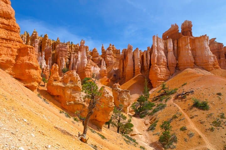 4-Day Southwest Giant Ring National Parks Tour from Las Vegas