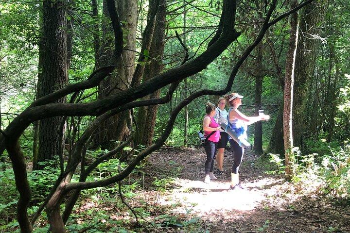 Forest Bathing & Nature Therapy Walk