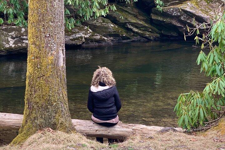 Forest Bathing & Nature Therapy Walk