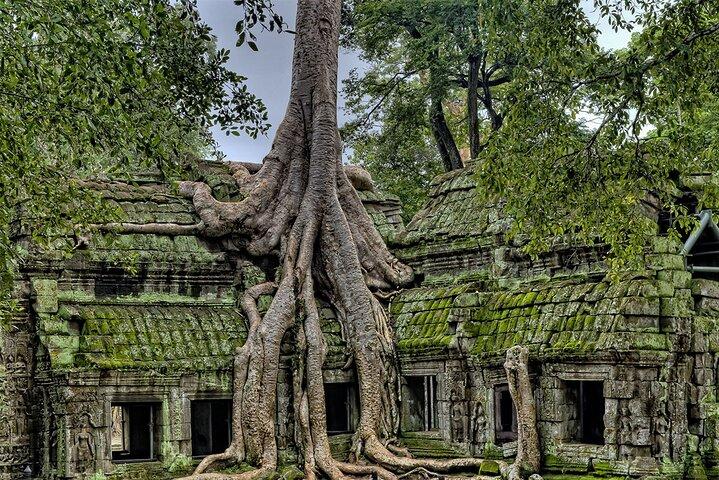 Aide à l’excursion dans la vie nocturne de Siem Reap