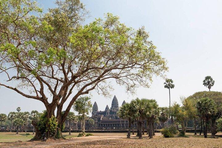 Aide à l’excursion dans la vie nocturne de Siem Reap