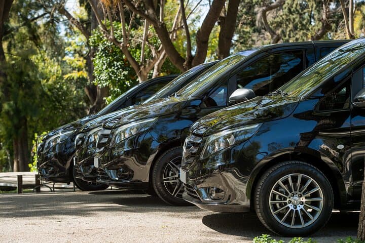Private Minivan Transfer from Athens Airport to Eretria (Evia)