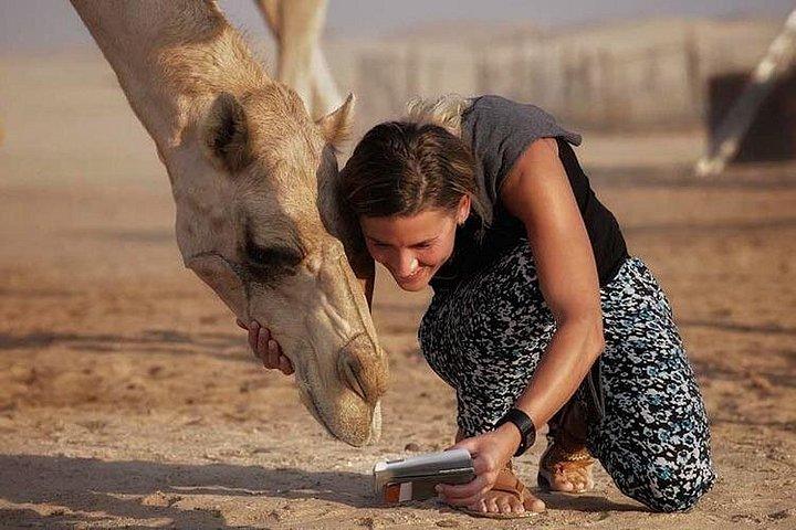 Dubai Private Evening Red Dunes Safari, BBQ & Premium Camp