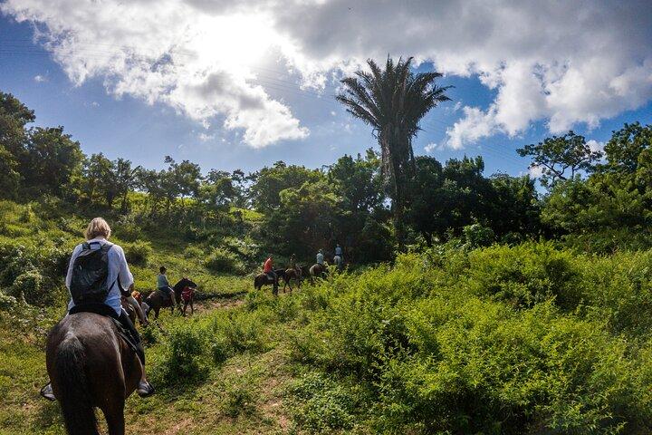 Ridning Trail Tour, Roatan Letters och Ocean i Flowers Bay