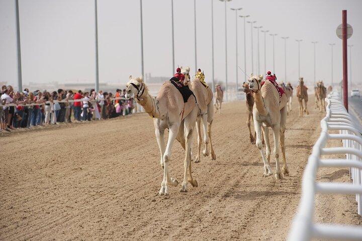 Costa Oeste e visita à pista de corrida de camelos