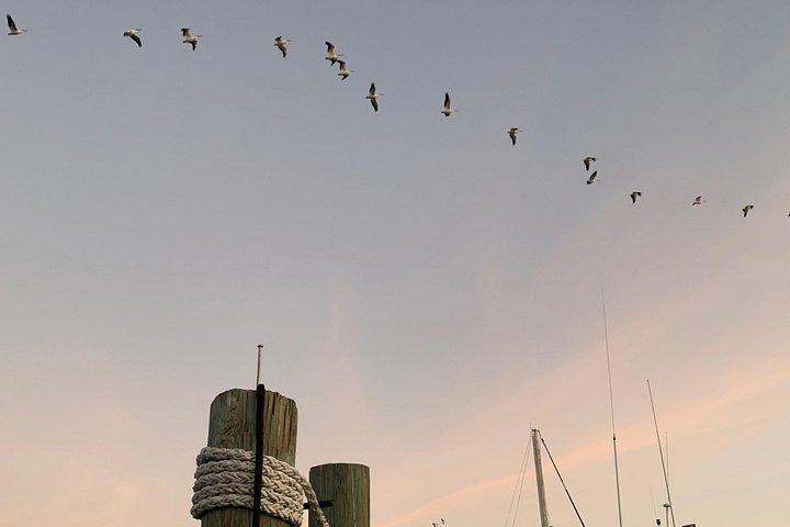 Vela ao pôr do sol no sudoeste da Flórida