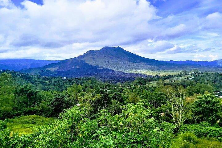 Privat heldagstur Batur Volcano och Ubud Tour