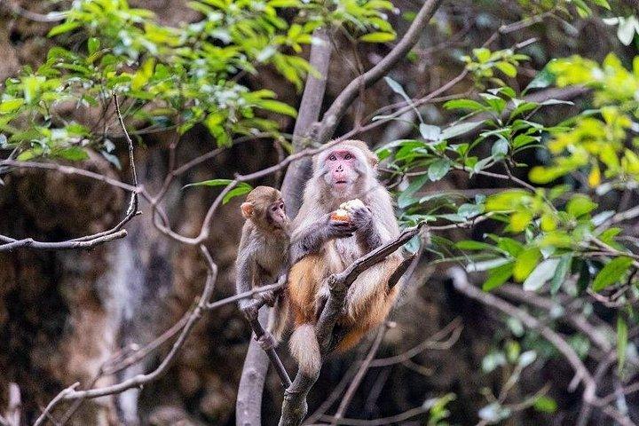 ダナンホイアン4泊5日ツアー