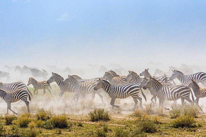 6 Days Tanzania join group Budget Camping Safari