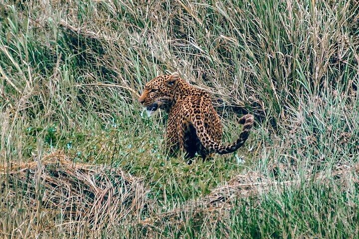 6 Days Tanzania join group Budget Camping Safari