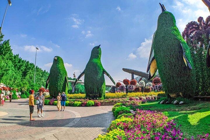 Dubai Miracle Garden billet