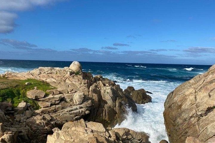 Carmel / Monterey Hwy 1 tour