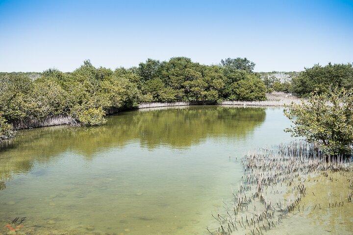 カタール北部・西部終日ツアー||歴史と遺産