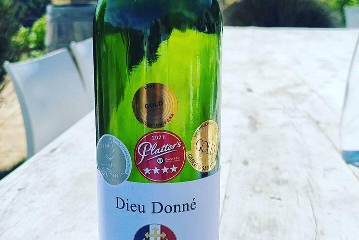 Visite et dégustation de vins du Cap tout compris