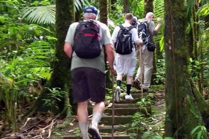 Gros Piton Hike a St. Lucia (privato)